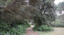 Traversée de l'ile
